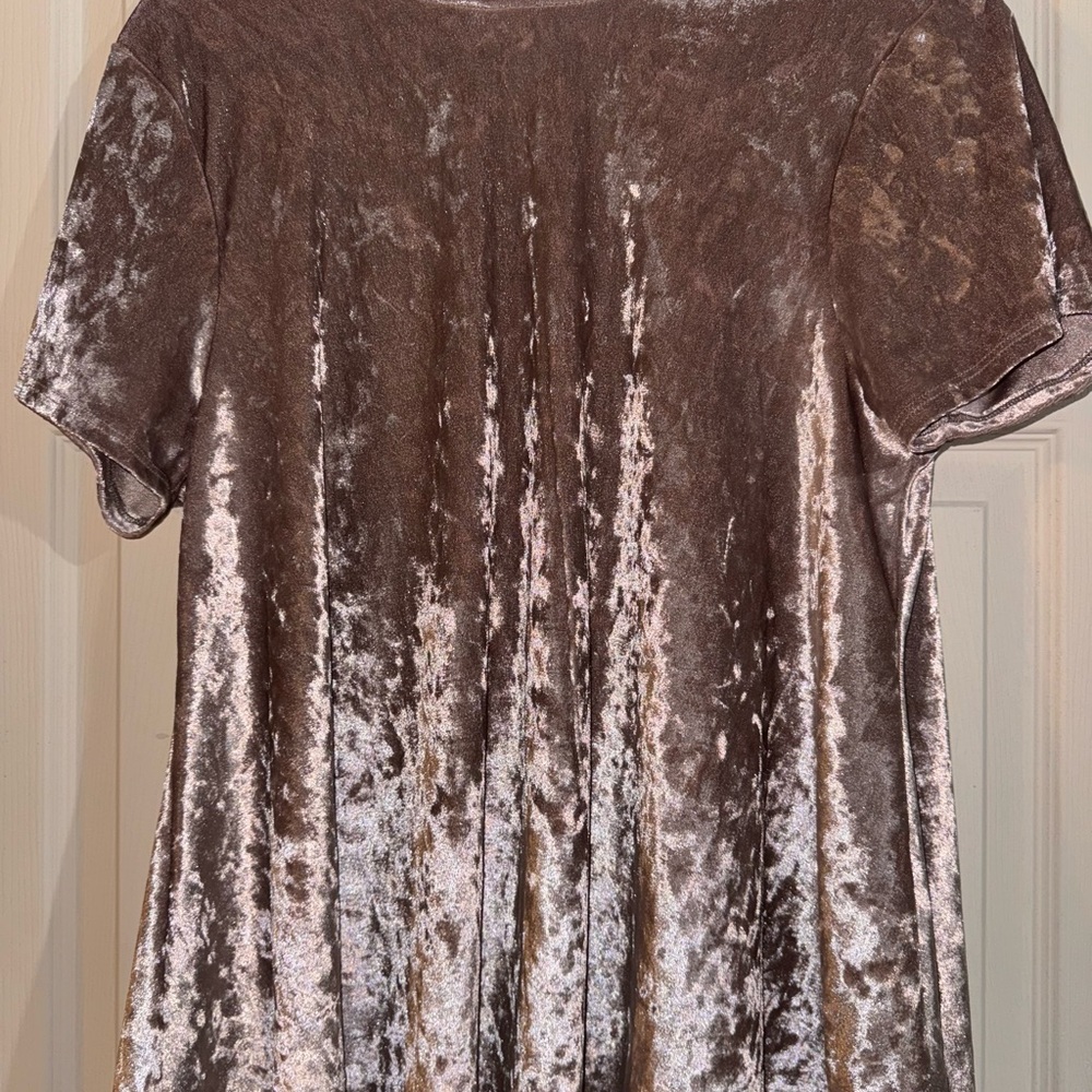 Velvet Short Sleeve Top